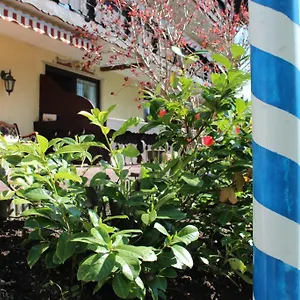 Birkenhof Mit Herz Pfronten